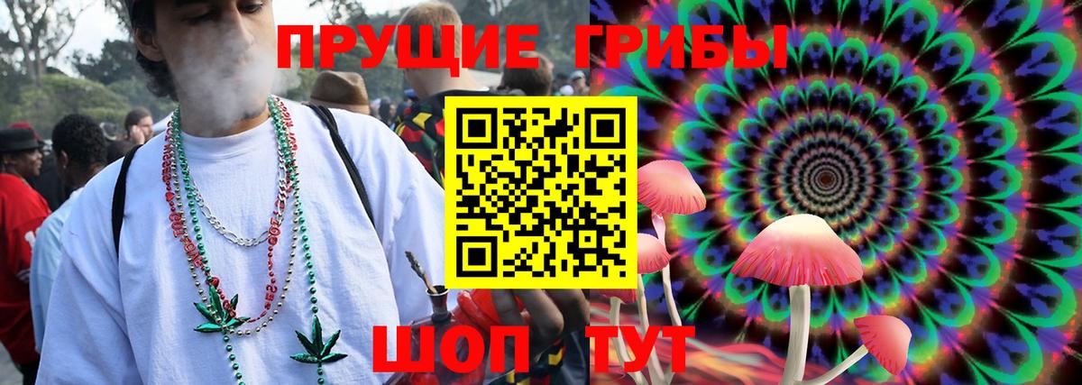 Псилоцибиновые грибы Cubensis  Вход с VPN  Похвистнево  Псилоцибиновые грибы ЛСД 